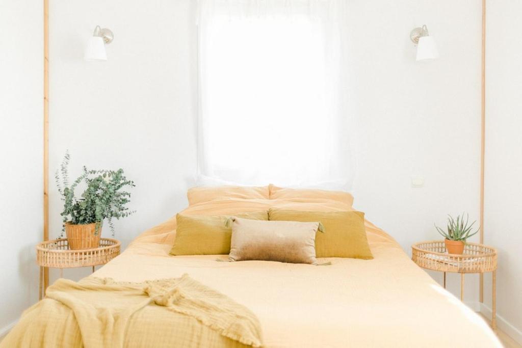 Domaine De L'Oiseliere Hotel Chauche ภายนอก รูปภาพ